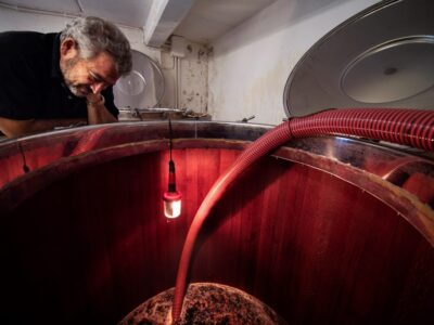 Marroneto-Alessandro-1024x683