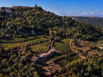 Marroneto-vigne-drone-2