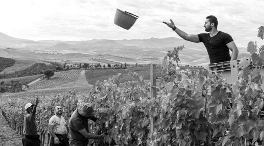 (Srpski) Kako je nastao brunello