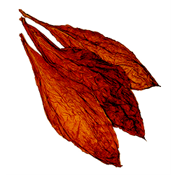 zacinski_ukusi_duvan Duvan