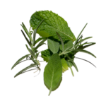 herbalne_arome Herbalne arome