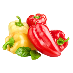 zacinski_ukusi_paprika Paprika