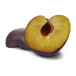 Šljiva Šljiva