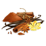 Začini Začini